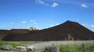 peat